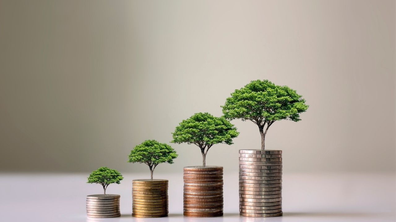 Economic Life Finance Reference