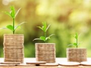 Economic Collapse economic collapse