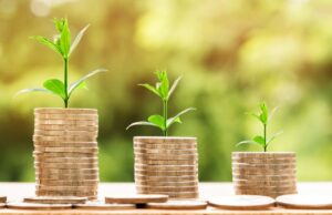 Economic Collapse economic collapse