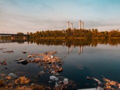 Water Pollution Liability Water Pollution Liability