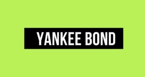 Yankee Bond Yankee Bond