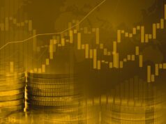 Dead Cat Bounce dead cat bounce