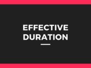 The Concept of Effective Duration effective duration