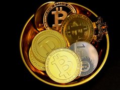 Factors to Consider before Starting Bitcoin Gambling