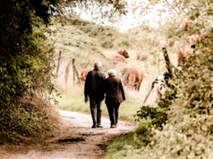 Reasons Why You Need to Plan Your Retirement Early