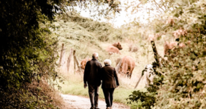 Reasons Why You Need to Plan Your Retirement Early