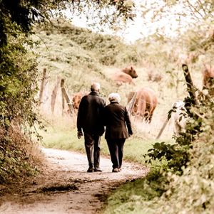 Reasons Why You Need to Plan Your Retirement Early