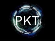 Why You Should Take Advantage of PKT Cash
