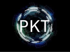 Why You Should Take Advantage of PKT Cash