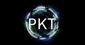 Why You Should Take Advantage of PKT Cash