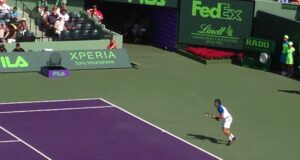 How to pick a sport for betting: tips and options