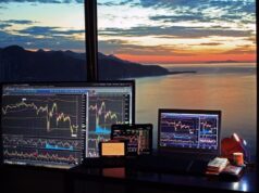 Tips to Help You Wade Through Your First Crypto Dip