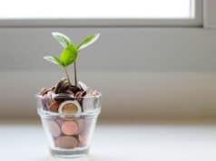 Essential Tips to Live Free From Money Worries