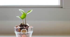 Essential Tips to Live Free From Money Worries