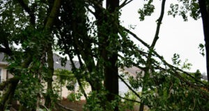 7 Things That Will Help You Cope After a Car Accident