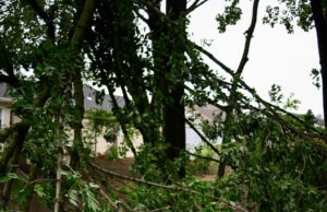 7 Things That Will Help You Cope After a Car Accident