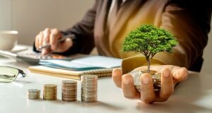 Capital stock vs Common stock Capital stock vs Common stock