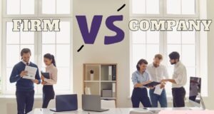 The Differences between a Firm and a Company Firm vs Company