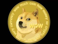 Dogecoin Crash This Summer?