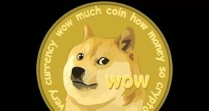 Dogecoin Crash This Summer?
