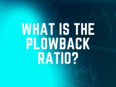What Is The Plowback Ratio? plowback ratio