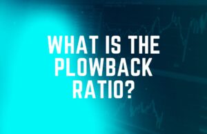 What Is The Plowback Ratio? plowback ratio