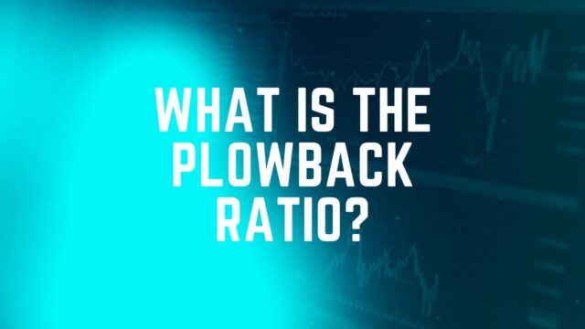 plowback ratio