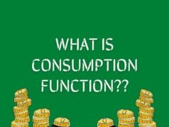 Understanding the Consumption Function consumption function
