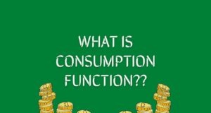 Understanding the Consumption Function consumption function