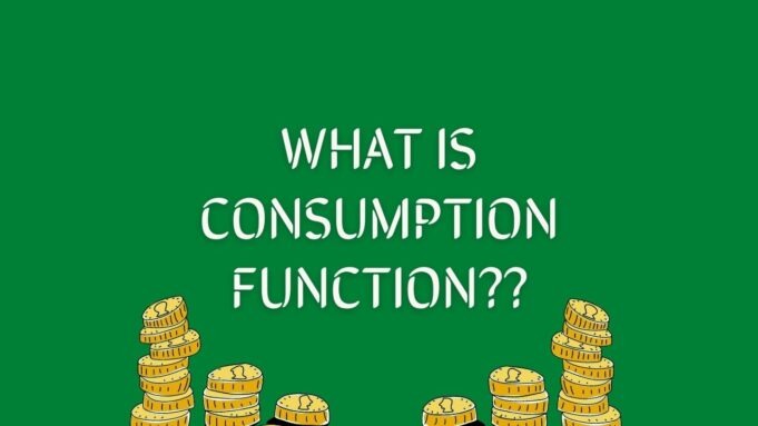Understanding the Consumption Function consumption function