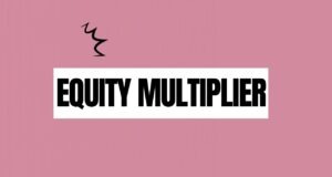 Equity Multiplier equity multiplier