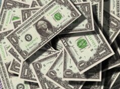 How Financial Advisors Will Guide You Through the Will Process