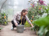 10 Unusual Ways To Earn Money This Summer