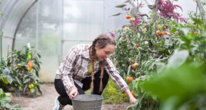 10 Unusual Ways To Earn Money This Summer