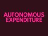 Autonomous Expenditure Autonomous Expenditure