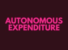 Autonomous Expenditure Autonomous Expenditure