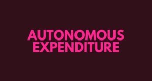 Autonomous Expenditure Autonomous Expenditure