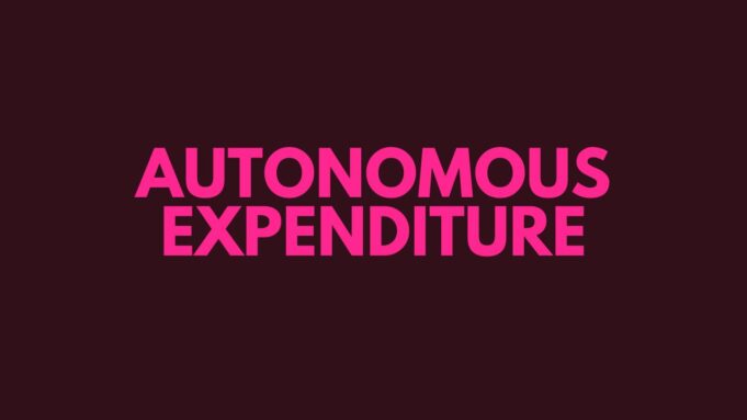 Autonomous Expenditure Autonomous Expenditure