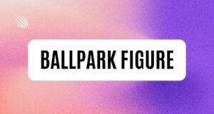 Ballpark Figure Ballpark Figure