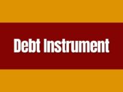 Debt Instrument Debt Instrument