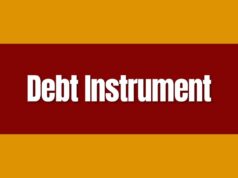 Debt Instrument Debt Instrument