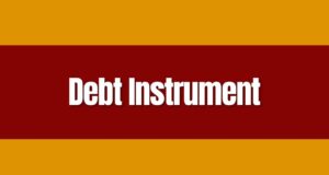 Debt Instrument Debt Instrument