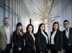 Domestic Corporation Or Limited Liability Company? Domestic Corporation