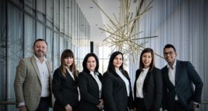 Domestic Corporation Or Limited Liability Company? Domestic Corporation