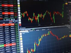 Fully Diluted Shares Fully diluted shares