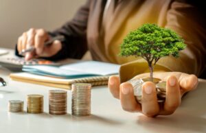 Investment Vehicle Investment Vehicle