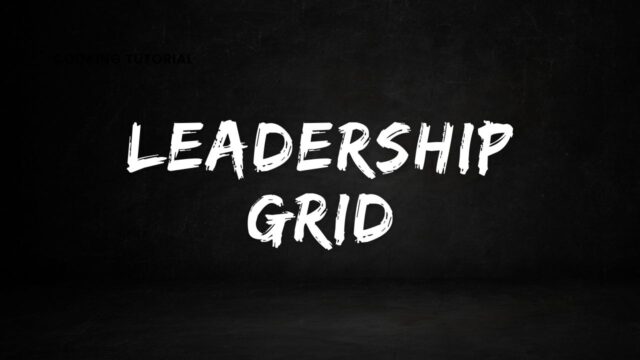 Leadership Grid