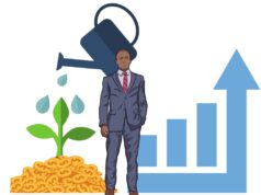 Net Investment Net Investment