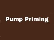 Pump Priming Pump Priming