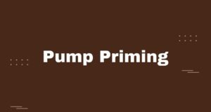 Pump Priming Pump Priming